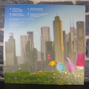 Flower Vinyl Soundtrack (03)